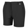 Bottoms * | Regatta Womens/Ladies Highton Mid Walking Shorts Seal Gray