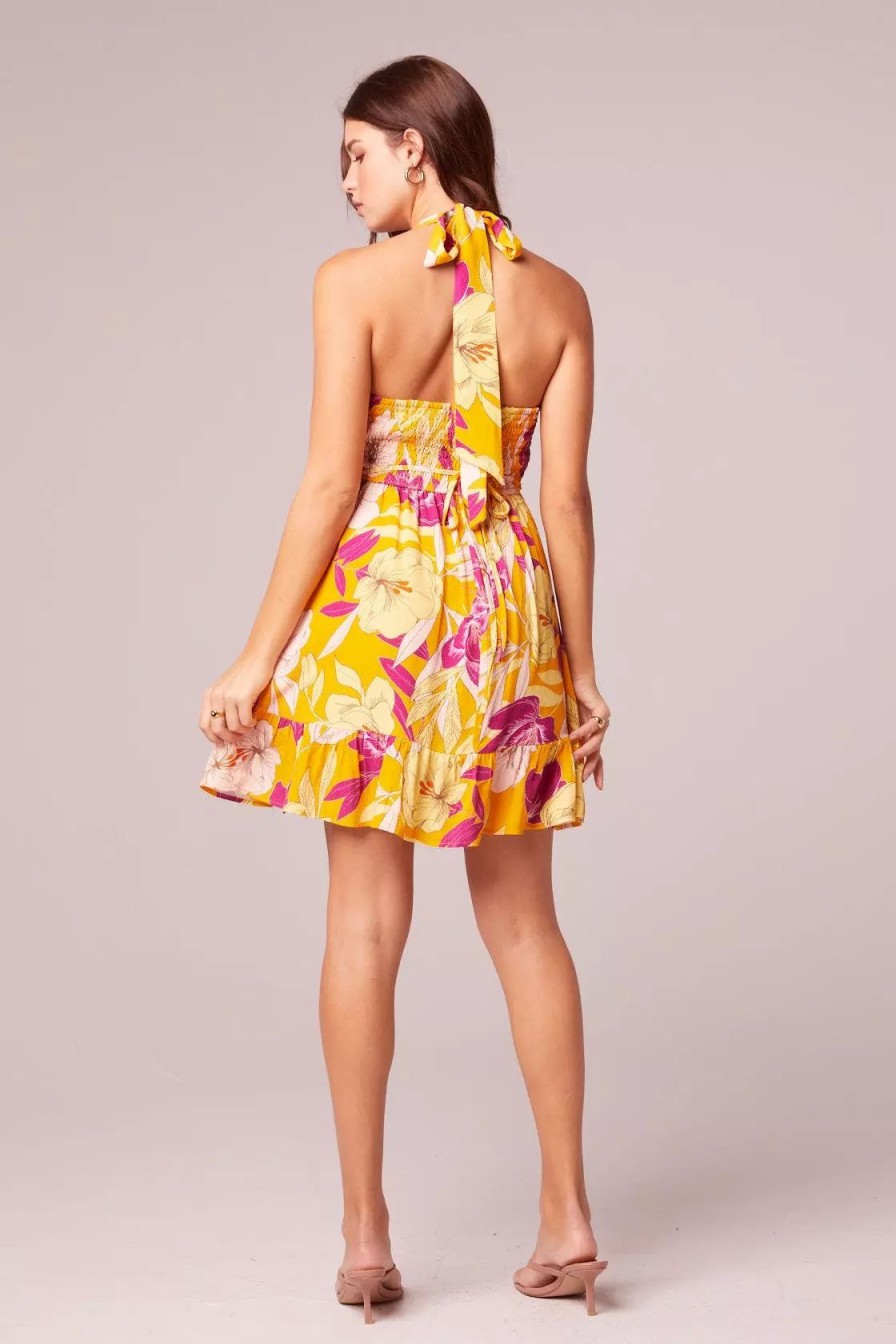 Dresses * | B.O.G. Collective Heartlight Gold Floral Halter Mini Dress Gold/Fuchsia