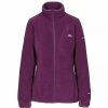 Sweatshirts & Sweaters * | Trespass Womens/Ladies Ciaran Fleece ( ) Potent Purple