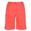 Bottoms * | Regatta Womens/Ladies Xert Stretch Shorts Neon Peach