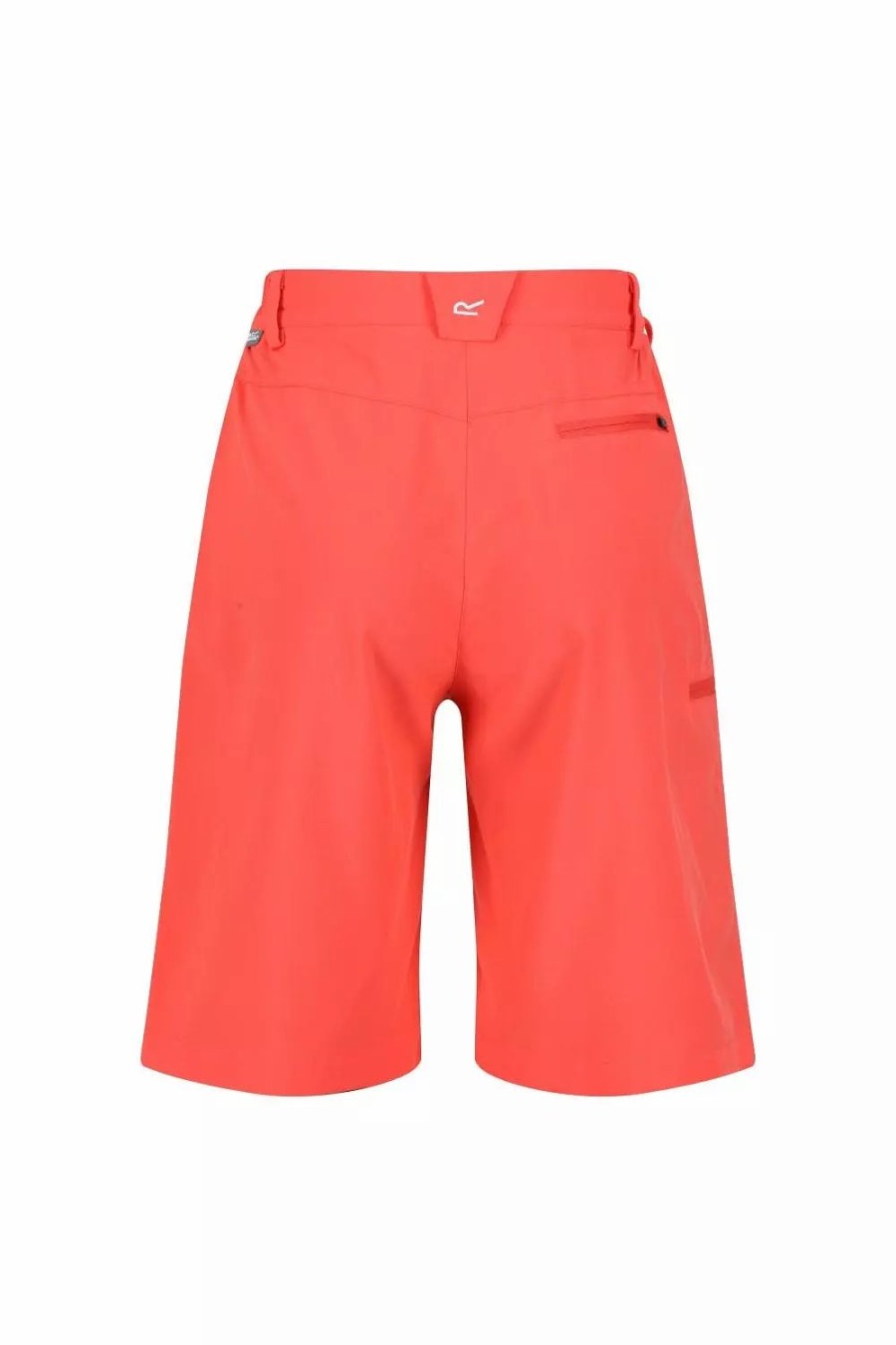 Bottoms * | Regatta Womens/Ladies Xert Stretch Shorts Neon Peach