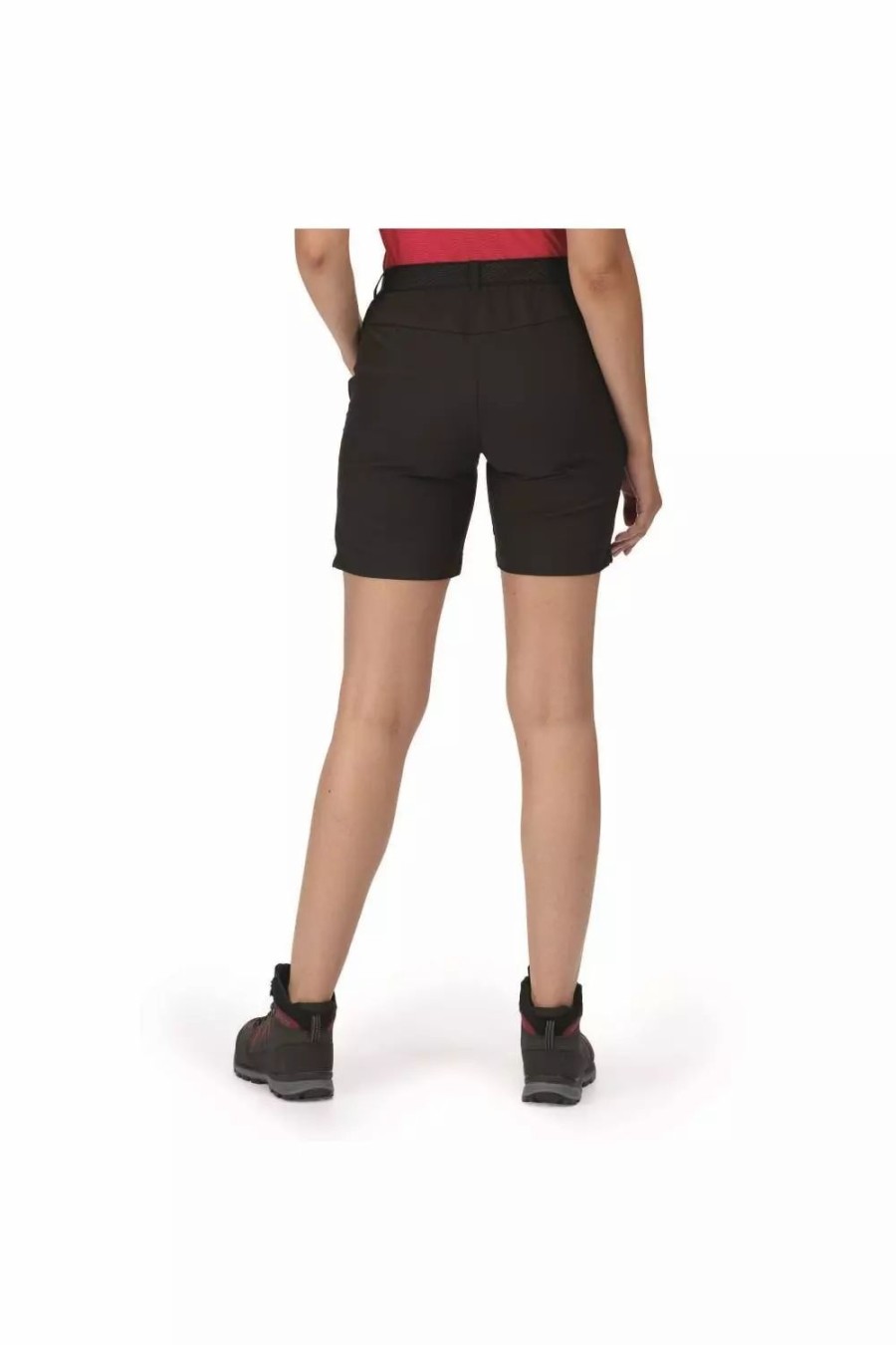 Bottoms * | Regatta Womens/Ladies Mountain Ii Shorts Black